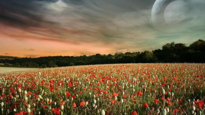 商业史上有哪些降维打击的经典案例？